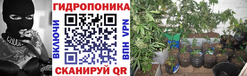 Сколько стоит Грозный Канабис  СК  COCAIN  Гашиш  Меф 