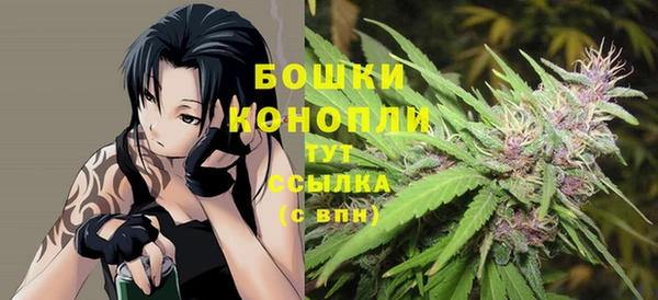 сатива Белоозёрский