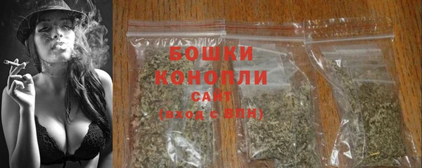 сатива Белоозёрский