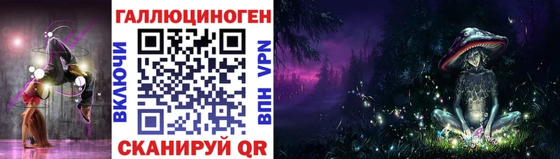 KRAKEN зеркало  Грозный  Галлюциногенные грибы Psilocybine cubensis 